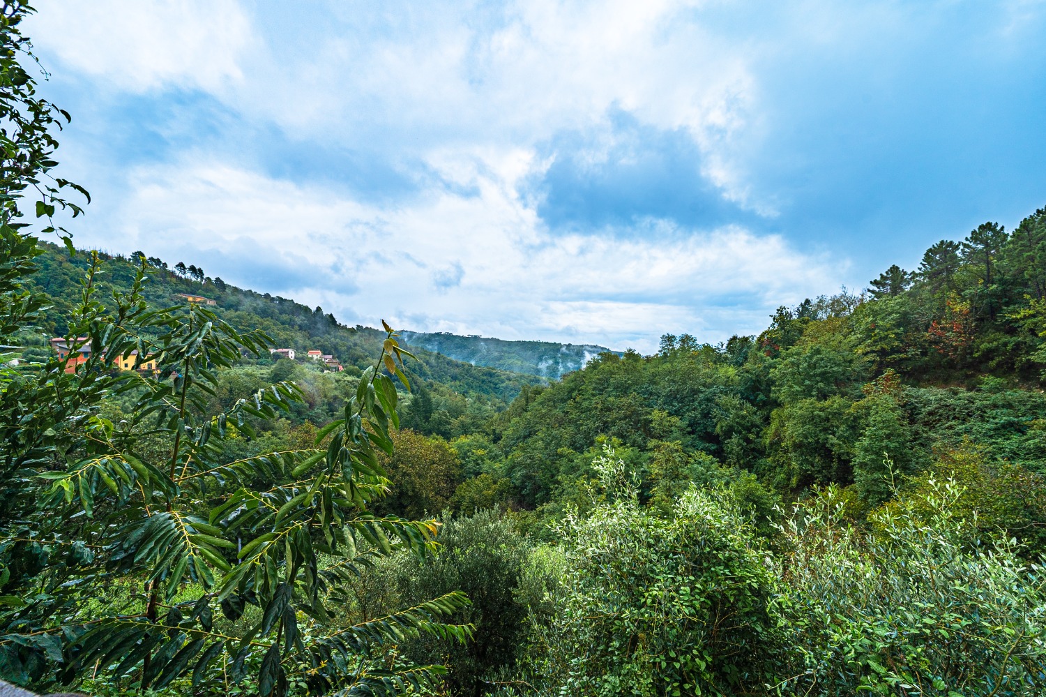 Casa singola Marliana