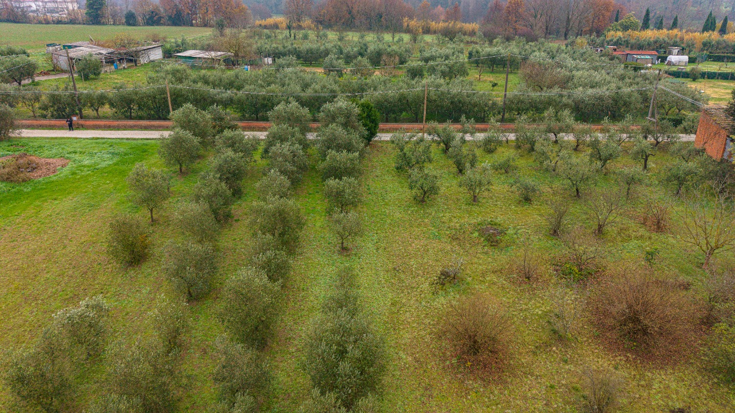 Terreno Lamporecchio