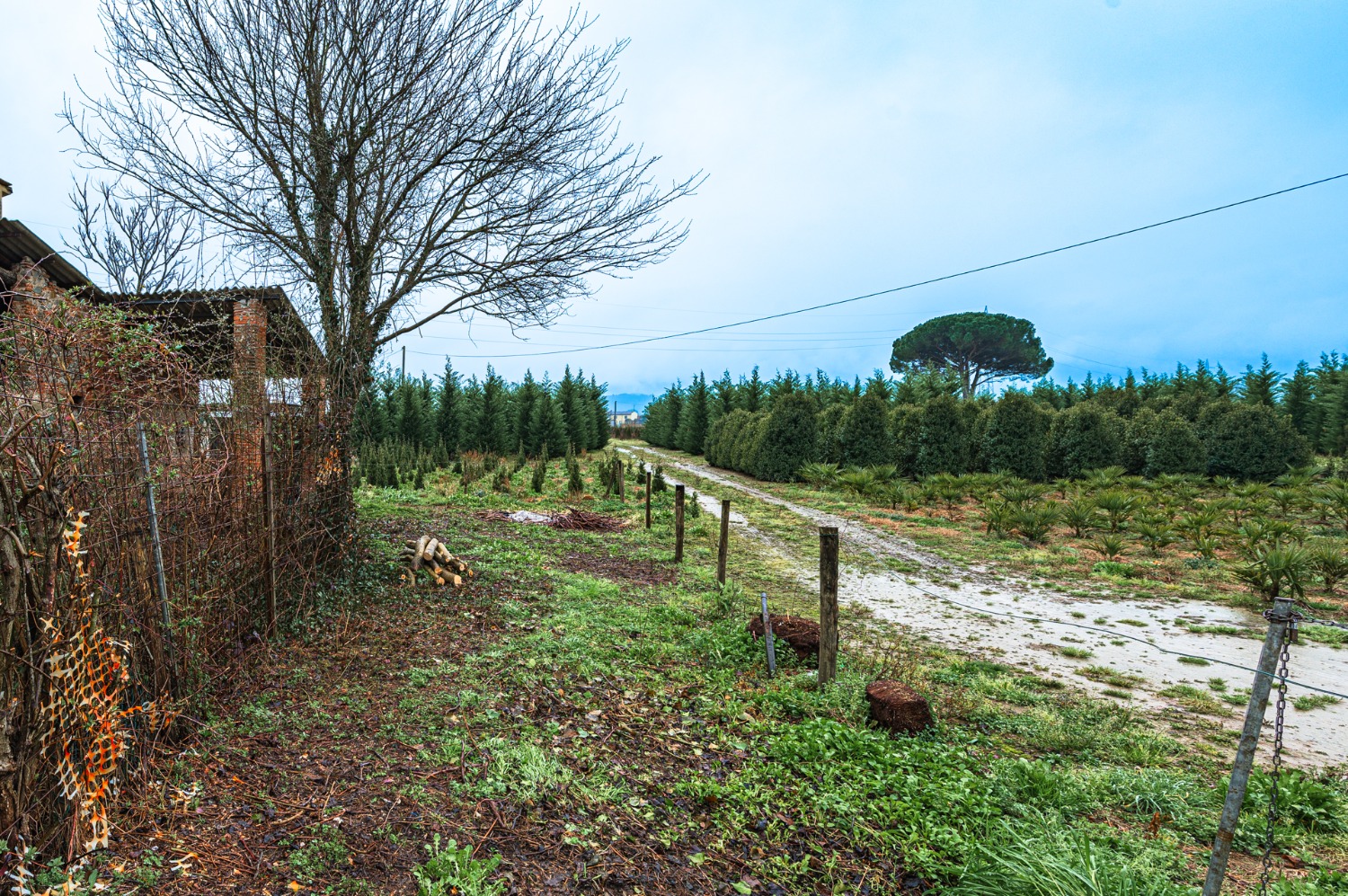 Casa singola Pistoia