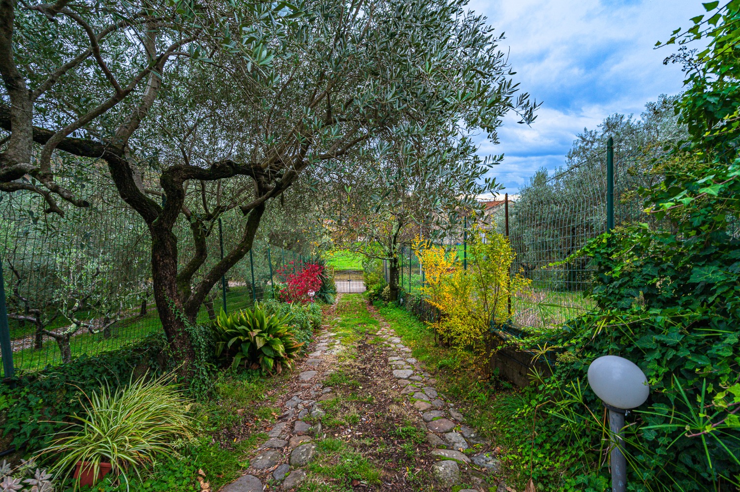 Appartamento Montale