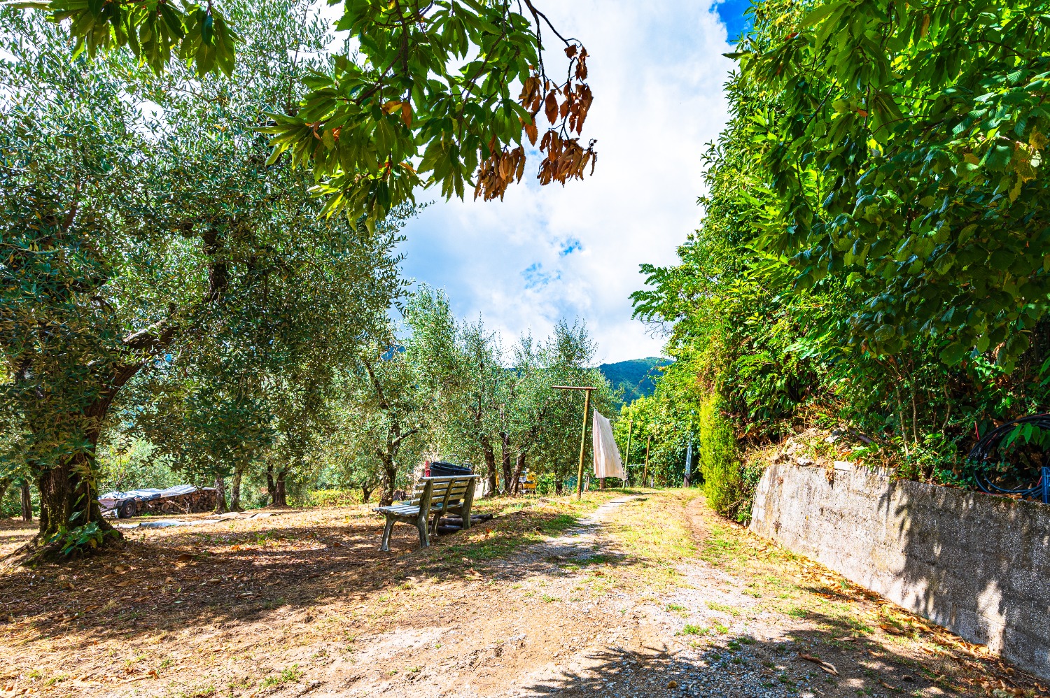 Vendita terreno a pistoia