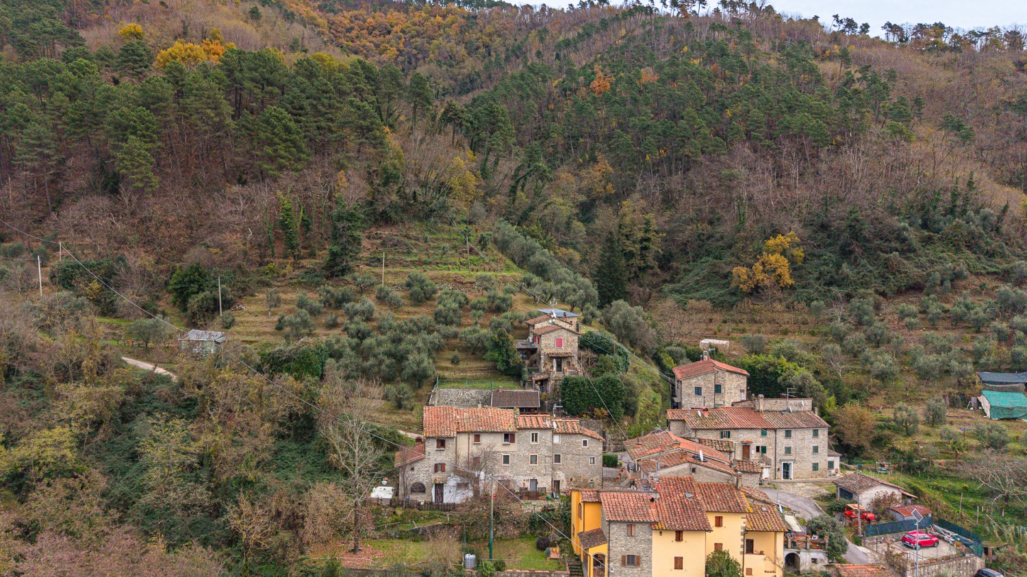 Casa singola Montagnana