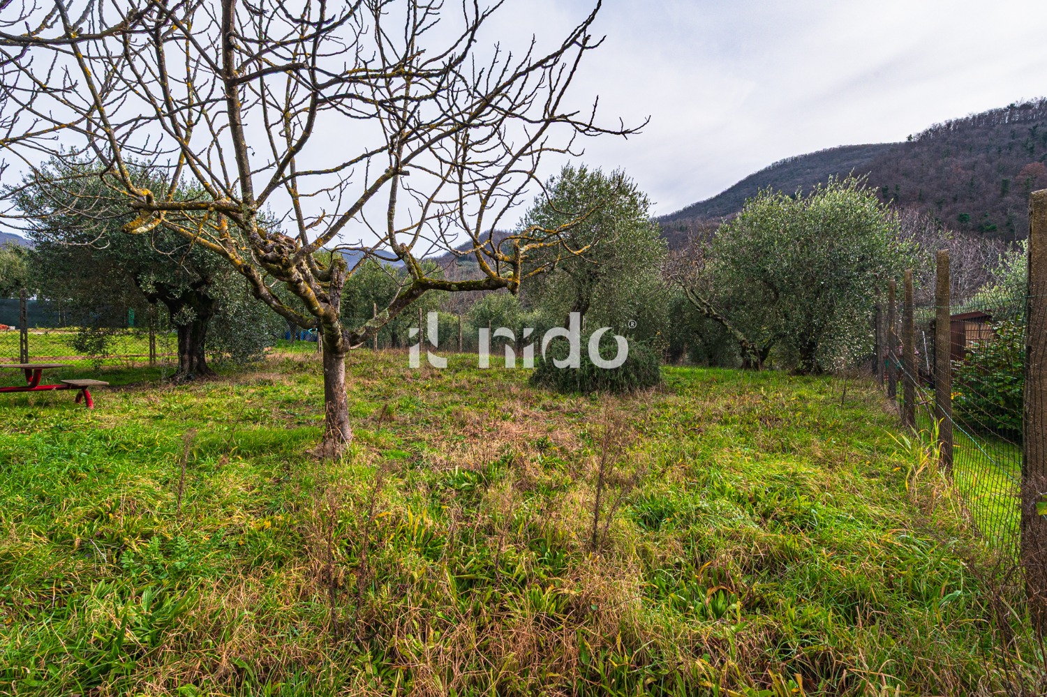 Casa singola Montale