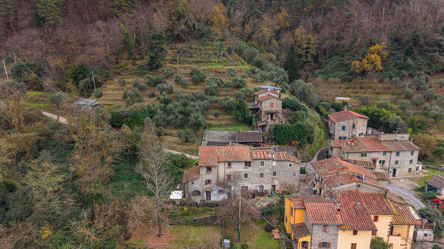 Casa singola Montagnana