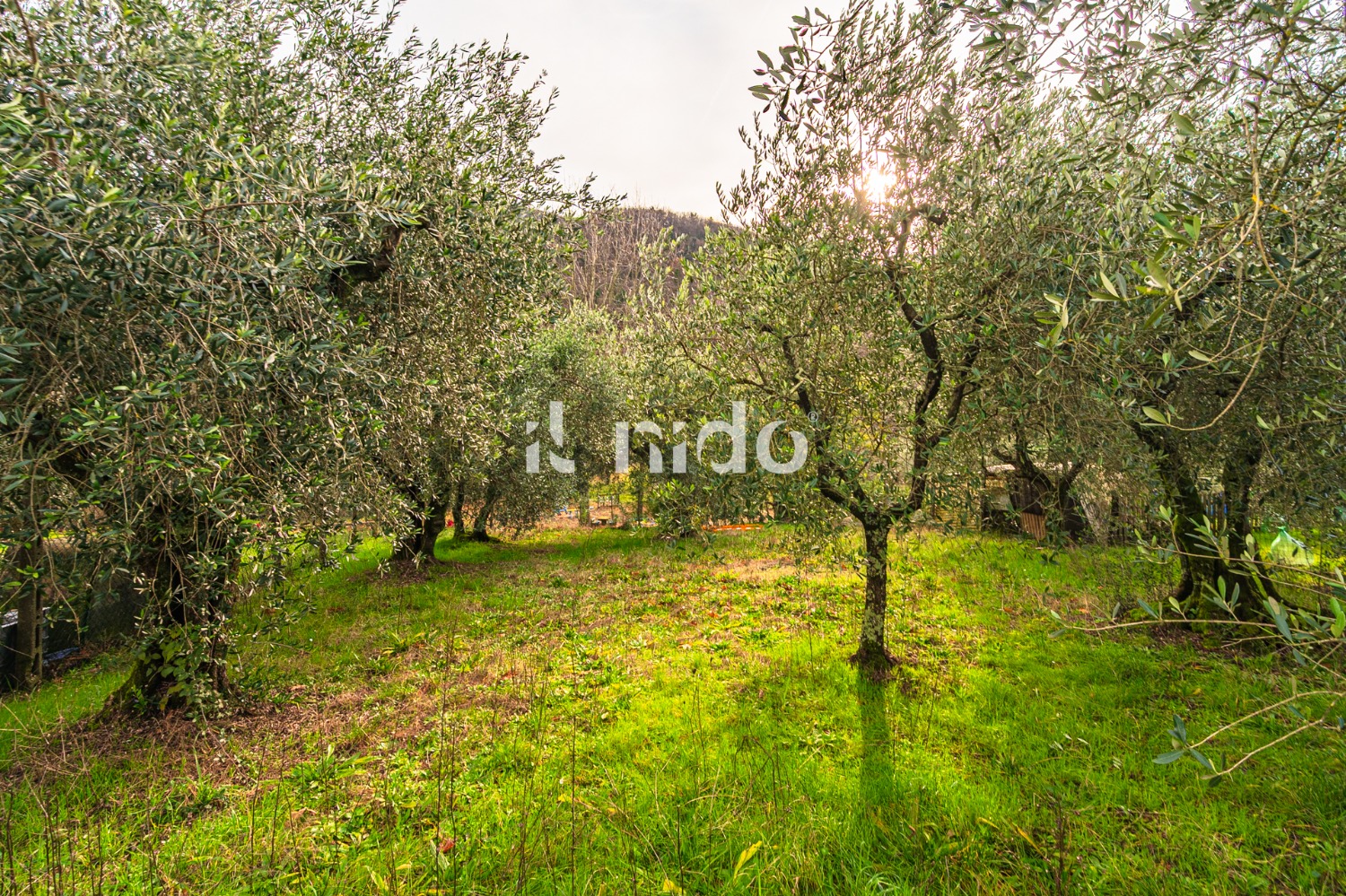 Casa singola Montale