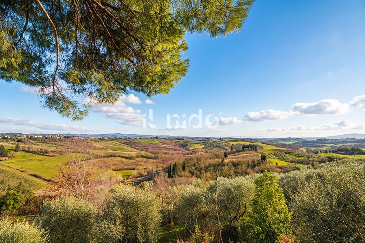 Casa singola Castelfiorentino