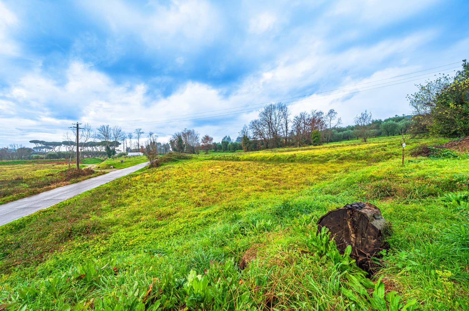 Appartamento Capannori